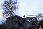 Filename=Ash_Tree_02.JPG
Filesize=231KiB
Dimensions=800x533
Date added=Dec 27, 2015 Ash_Tree_02.JPG