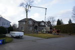 Filename=Ash_Tree_06.JPG
Filesize=179KiB
Dimensions=800x533
Date added=Dec 27, 2015 Ash_Tree_06.JPG