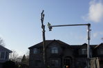 Filename=Ash_Tree_10.JPG
Filesize=132KiB
Dimensions=800x533
Date added=Dec 27, 2015 Ash_Tree_10.JPG