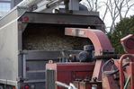 Filename=Ash_Tree_16.JPG
Filesize=213KiB
Dimensions=800x533
Date added=Dec 27, 2015 Ash_Tree_16.JPG