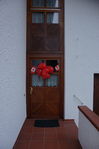 Filename=Thomas 50th_094.JPG
Filesize=195KiB
Dimensions=533x800
Date added=Mar 03, 2013 Thomas 50th_094.JPG