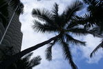 Filename=Hawaii_003.JPG
Filesize=242KiB
Dimensions=840x562
Date added=Jul 22, 2008 Hawaii_003.JPG